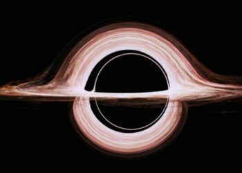What Happens When a Warp Drive Meets a Black Hole?