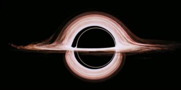 What Happens When a Warp Drive Meets a Black Hole?
