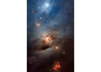 NGC 1333: A Cosmic Cradle Captured by JWST