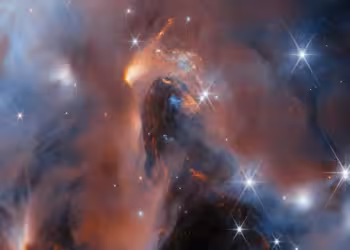 JWST Reveals the Secret Lives of Rogue Planets