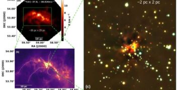 Secrets of the Newborn Cluster FSR 655
