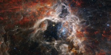 Webb Catches A Cosmic Tarantula