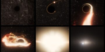 This six-panel illustration of a tidal disruption event around a supermassive black hole shows the following: 1) A supermassive black hole is adrift inside a galaxy, its presence only detectable by gravitational lensing; 2) A wayward star gets swept up in the black hole's intense gravitational pull; 3) The star is stretched or "spaghettified" by gravitational tidal effects; 4) The star's remnants form a disk around the black hole; 5) There is a period of black hole accretion, pouring out radiation across the electromagnetic spectrum, from X-rays to radio wavelengths; and 6) The host galaxy, seen from afar, contains a bright flash of energy that is offset from the galaxy's nucleus, where an even more massive black hole dwells. Credit: NASA, ESA, STScI, Ralf Crawford (STScI)